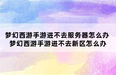 梦幻西游手游进不去服务器怎么办 梦幻西游手游进不去新区怎么办